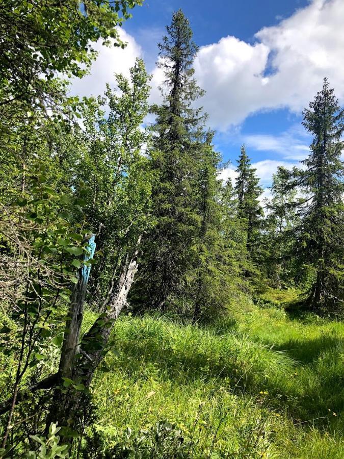 Bed and Breakfast Hos Blafjelldal, Bagn I Valdres Zewnętrze zdjęcie